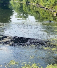 Oil Spill Discovered in Tuscarawas River in Barberton