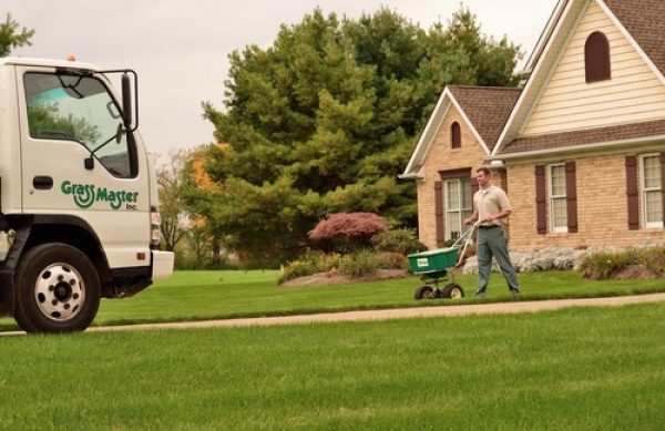 Business of the Week: Grass Master