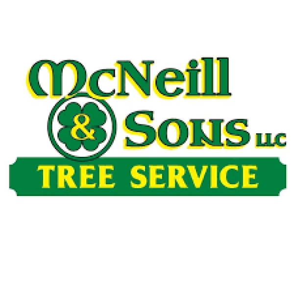 Business of the Week: McNeill & Sons Tree Service