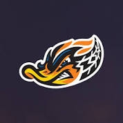 AkronRubberDucks Logo