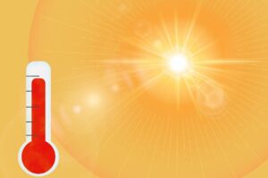 Rosy / Bad Homburg / Germany from Pixabay