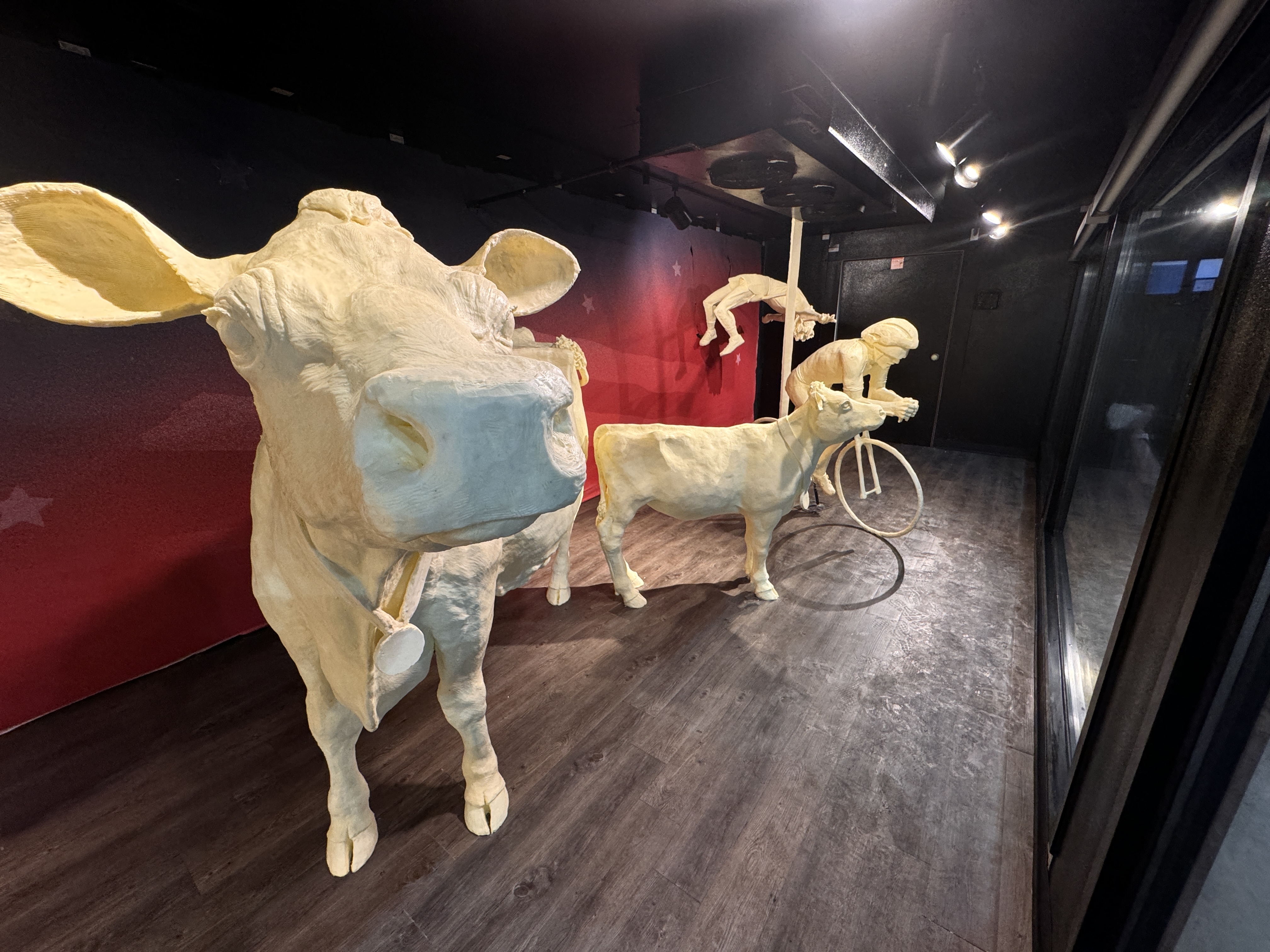 E3fc8dfd64f543619845155175f5059a