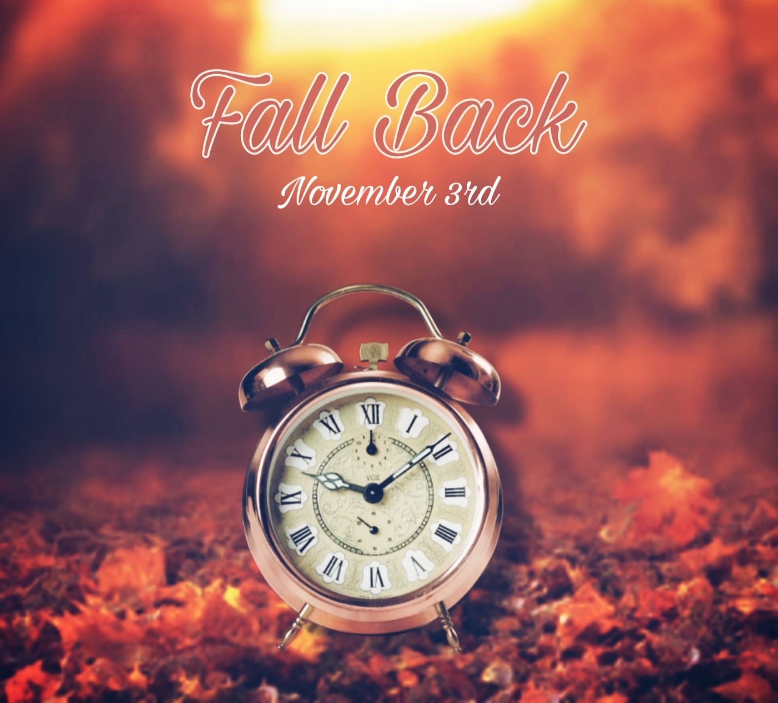 A01b976243e40f8333f084414d454668