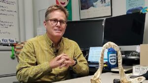 22c6db131420746253ecfc1b2d50c195