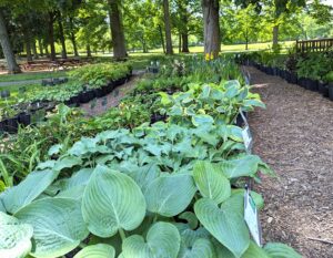 5baa98684f46c84e26cf8d0ecf88dc91