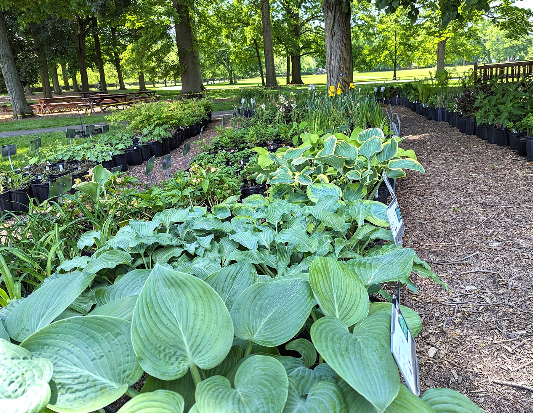 5baa98684f46c84e26cf8d0ecf88dc91