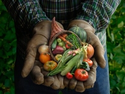 7a7f1d748a4a2f010ecd4d339e7e3f1a