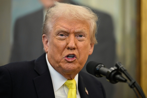 731bb92fa40a77032d98799d5e90e293