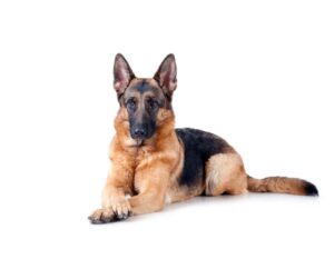 16715262b1b58f42f4a057734e999d4d