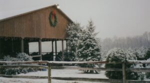 2a2e991b121d048dc2356eea37813f12