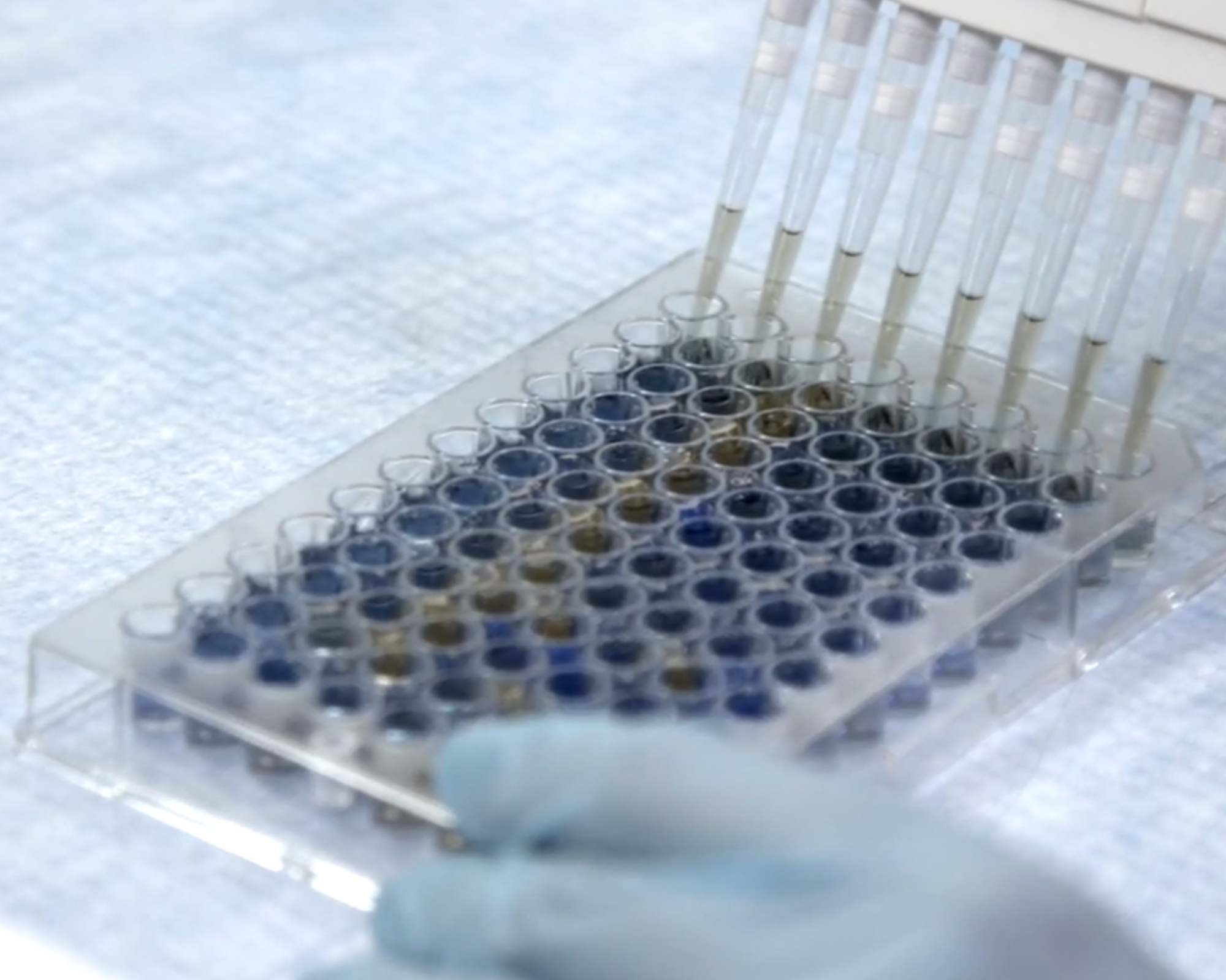 Dda8046e38725f7bc9bfa1ee6158f779