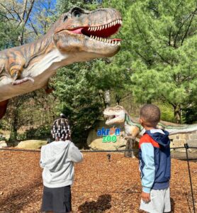 4db58fe2b707802fb2a084ecc305923e XL