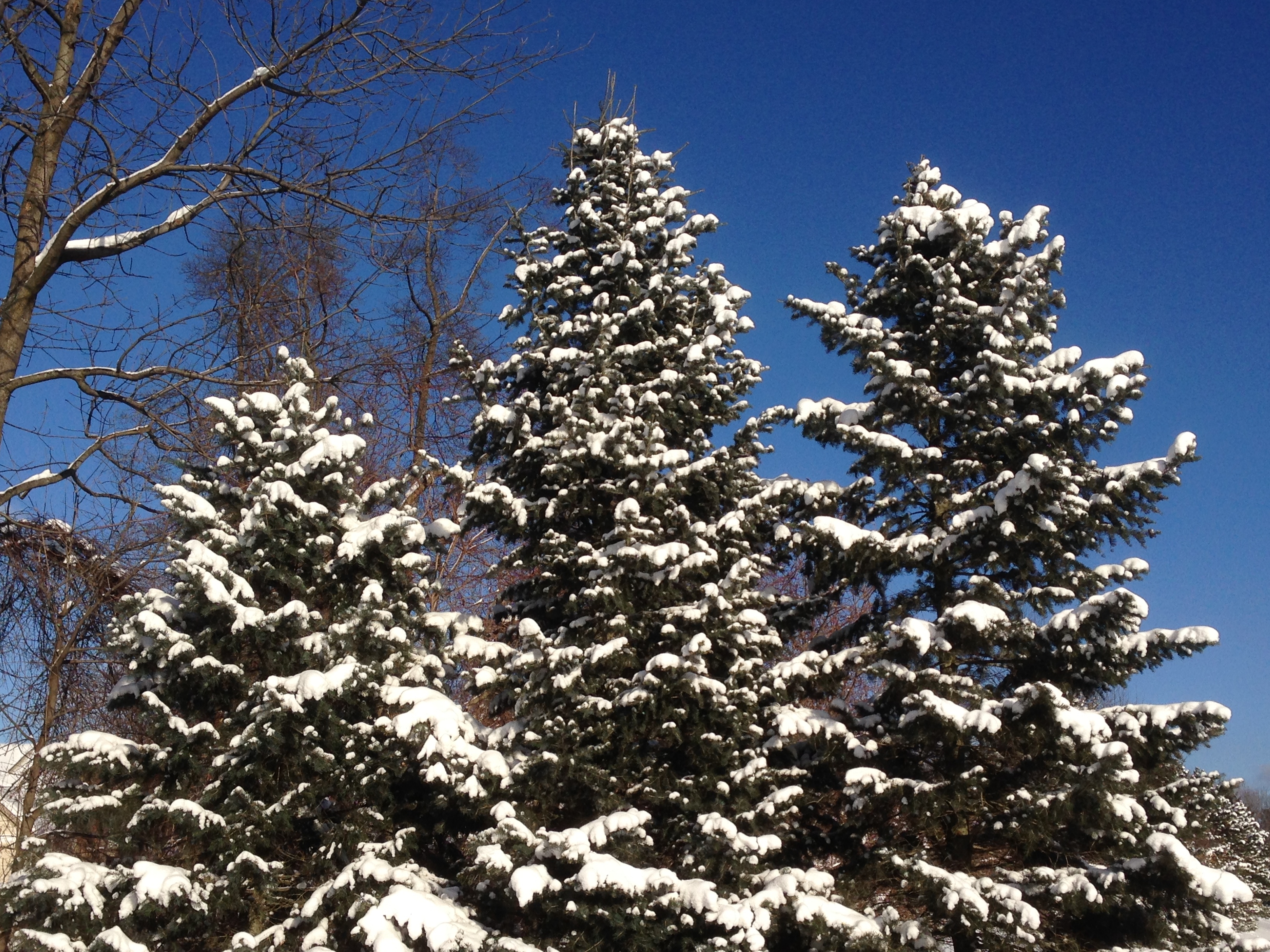 Afca9481b5090e892727c3df2f0e5400