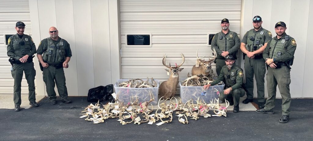 Antlers seized ohio division of wildlife