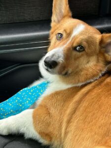 C24debd743a451608a735636bcfe1119 XL