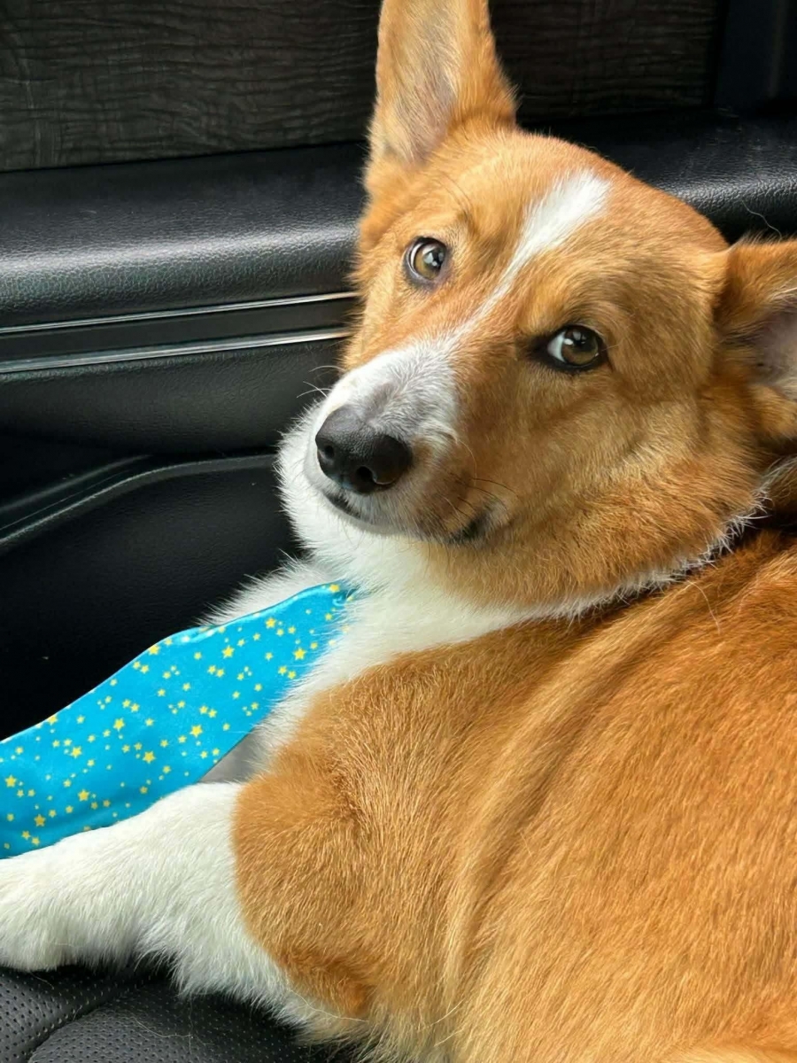 C24debd743a451608a735636bcfe1119 XL