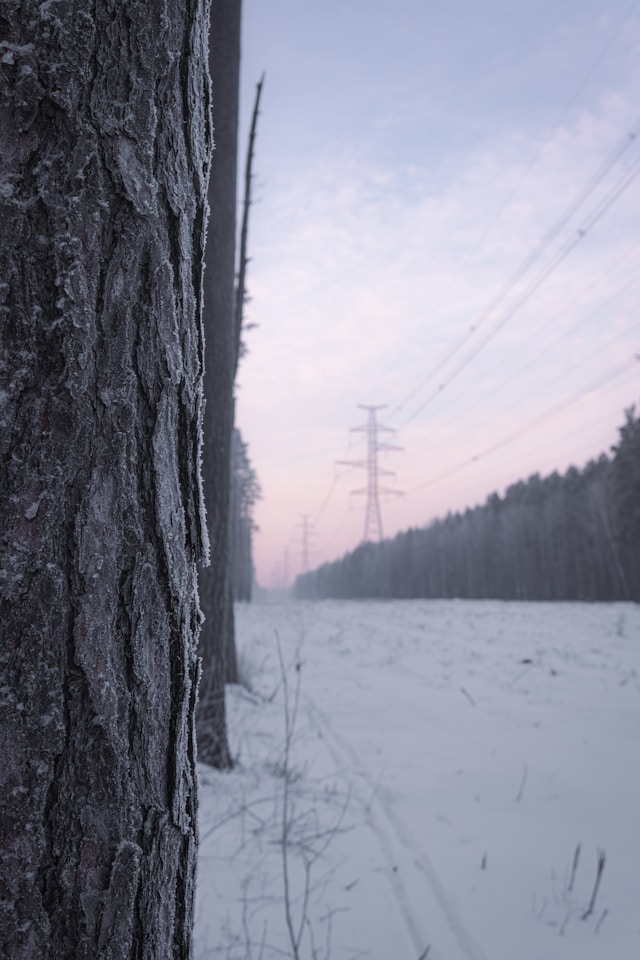 Frozen power lines unsplash
