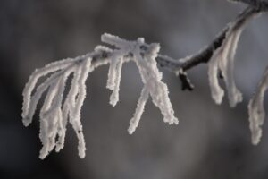 Snow freezing cold weather unsplash free