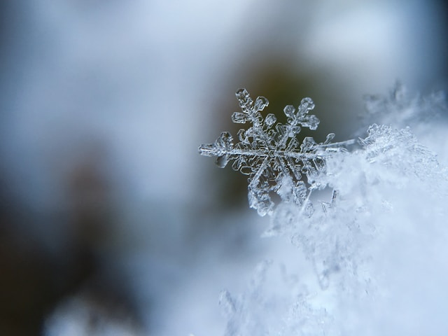 Snow snowflake unsplash